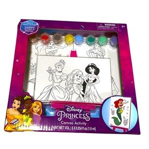 Disney Princess Canvas Activity - Brand New